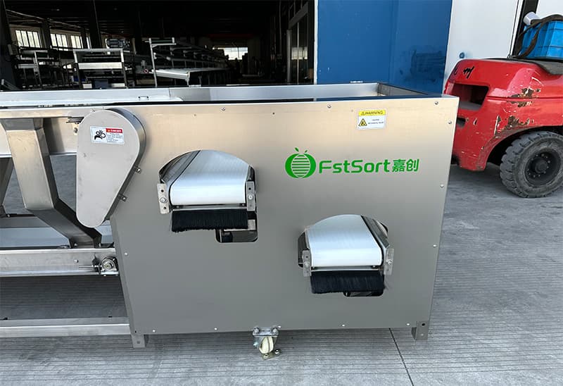 images/1731051837991blueberry grader.jpg